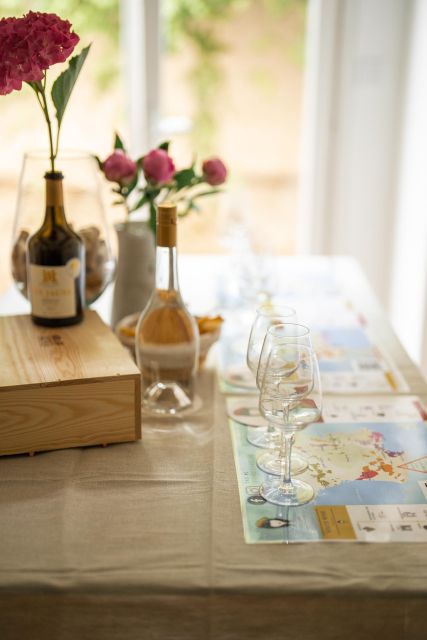 Nice: Wine Tasting Class in City Center - Exploring French Wine Regions