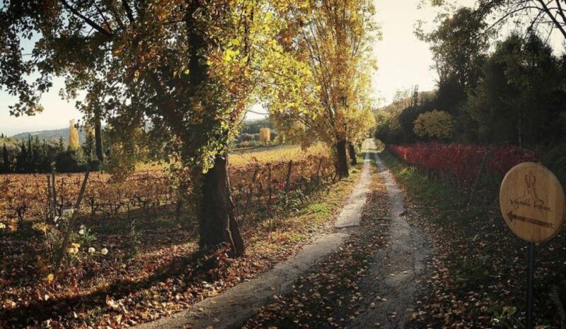 Nice: Wine Tasting Tour - Itinerary Overview