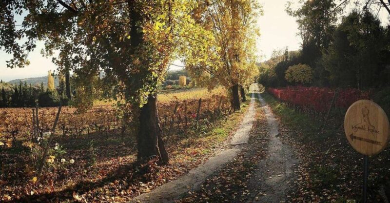 Nice: Wine Tasting Tour - Frequently Asked Questions
