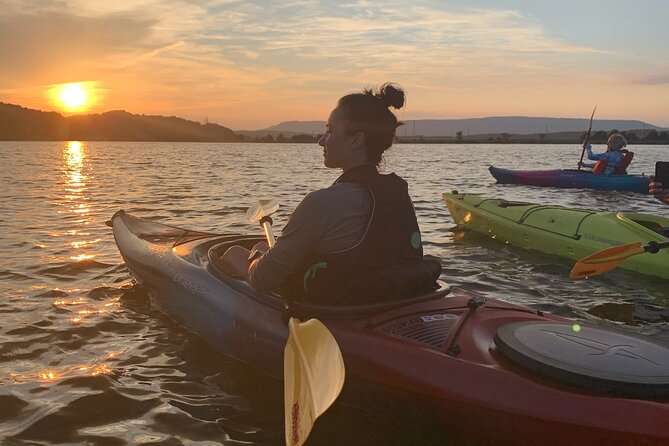 Nickajack Bat Cave Kayak Tour With Chattanooga Guided Adventures - Protecting the Grey Bat Species