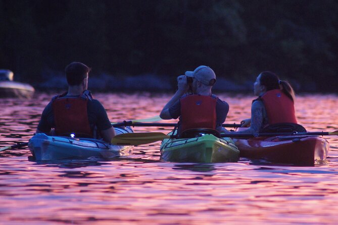 Nickajack Bat Cave Kayak Tour With Chattanooga Guided Adventures - Ensuring the Best Experience