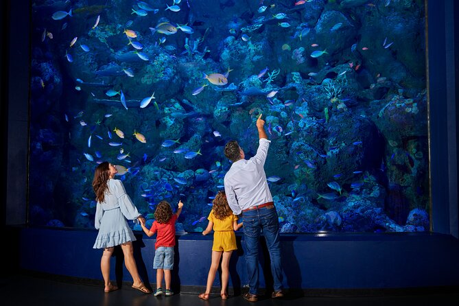 Night at the Aquarium Tour - Family-Friendly Atmosphere