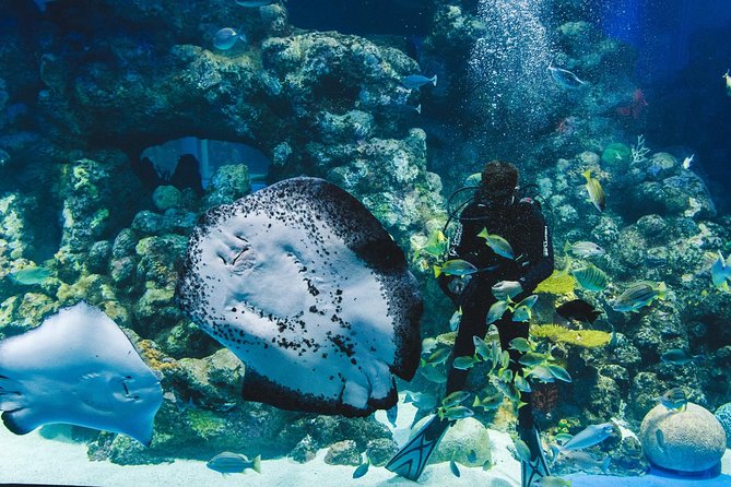 Night at the Aquarium Tour - Lowest Price Guarantee
