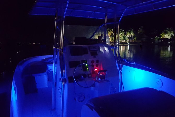 Night Bioluminescence Snorkel Tour - Location and Accessibility