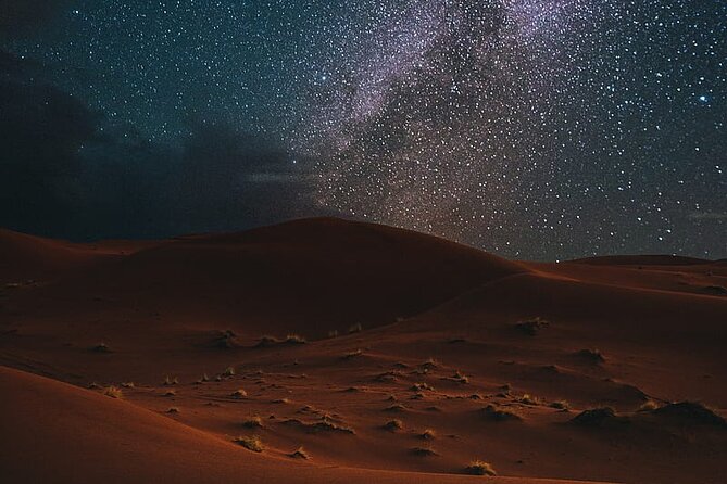 Night Desert Safari, Stargazing, Dune Driving & Inland Sea Visit - Desert Safari Experience