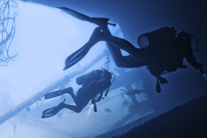 Night Diving At Caribbean Sea - About Your Stay