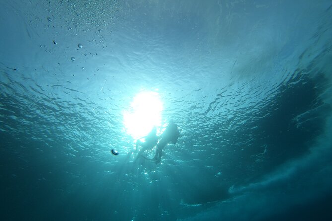 Night Diving At Caribbean Sea - Night Diving Experience