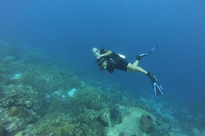 Night Diving At Caribbean Sea - Included Gear and Amenities