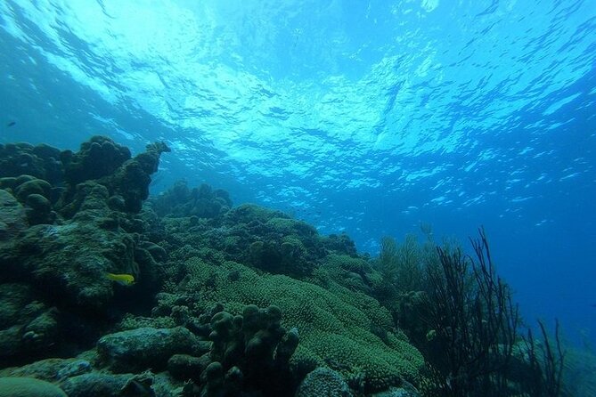 Night Diving At Caribbean Sea - Safety and Fitness Requirements