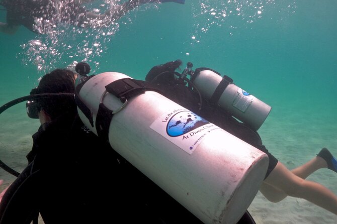 Night Diving At Caribbean Sea - Cancellation and Booking Details