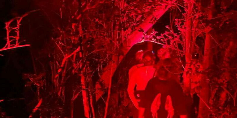Night Hike to see Elusive & Rare Loris in Sigiriya - Final Thoughts