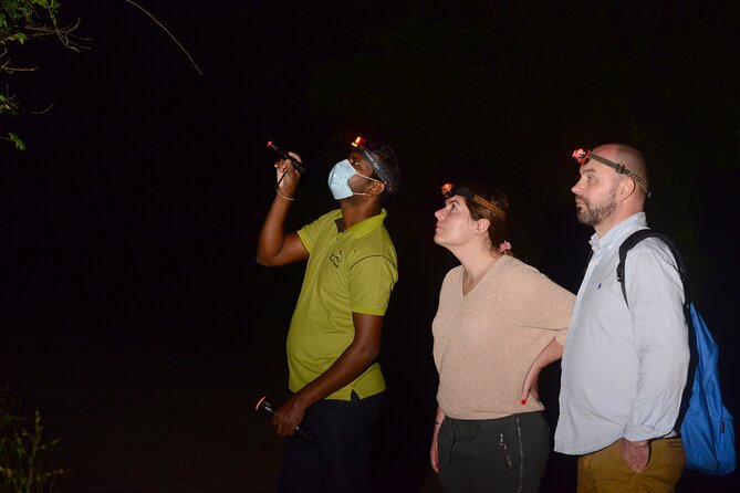 Night Hike to See Elusive & Rare Loris in Sigiriya - Experience and Highlights