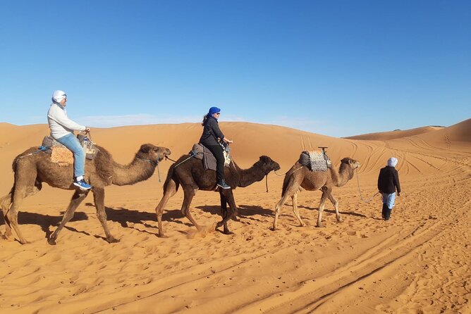 Night in Erg Chebbi Desert, Camel Ride, Departure From Errachidia - Pricing and Booking Information