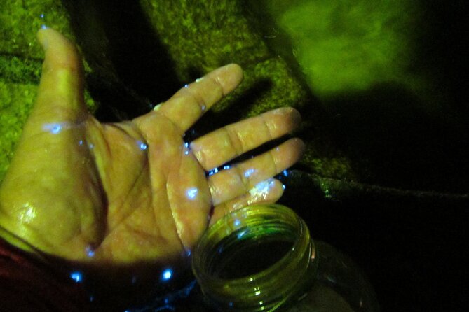 Night Kayak Tour Relax Under the Natural Glow of Sea Fireflies - Meeting Point and Pickup Details