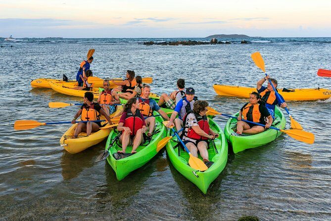 Night Kayaking Experience on Bioluminescent Lagoon in Fajardo - What the Reviews Say