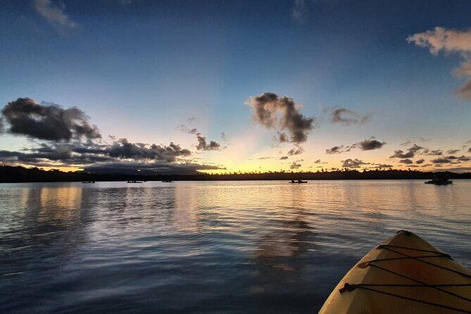 Night Kayaking Experience on Bioluminescent Lagoon in Fajardo - The Sum Up