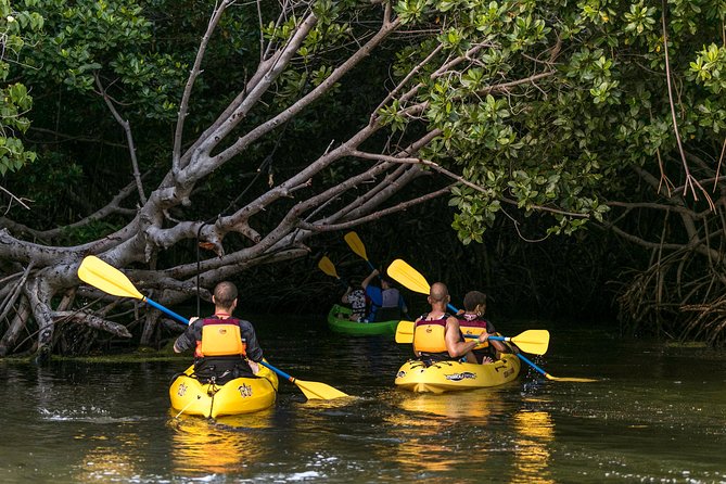 Night Kayaking Experience on Bioluminescent Lagoon in Fajardo - What to Expect