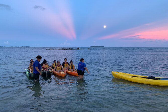 Night Kayaking Experience on Bioluminescent Lagoon in Fajardo - Positive Feedback