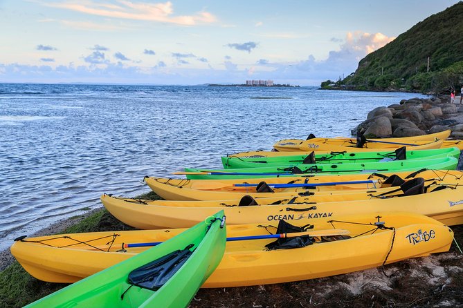 Night Kayaking Experience on Bioluminescent Lagoon in Fajardo - Notable Experiences