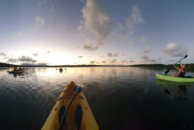 Night Kayaking Experience on Bioluminescent Lagoon in Fajardo - Additional Considerations