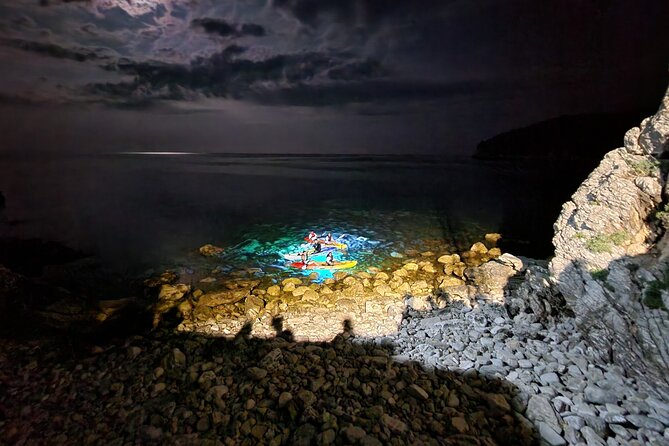 Night Lights Kayak Adventure - Tour Highlights