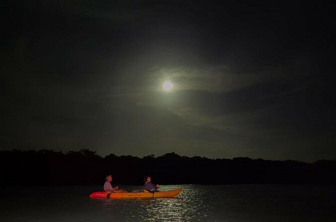 Night Mangrove Kayak Tour - The Sum Up