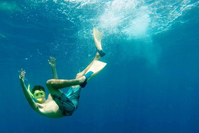 Night Manta Ray Tour | Departs From Keauhou Bay - Tips for a Successful Experience