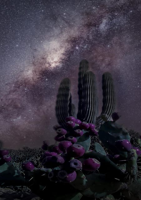 Night of Stars in the Tabernas Desert - Key Points