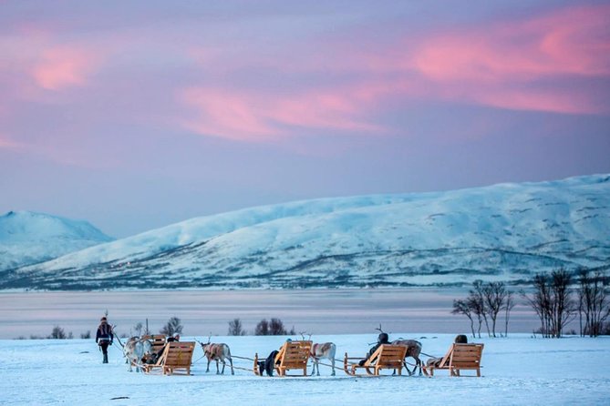 Night Reindeer Sledding With Camp Dinner and Chance of Northern Lights - Weather-Related Considerations