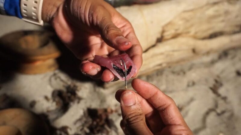 Night Safari and Fishing Experience - Key Points