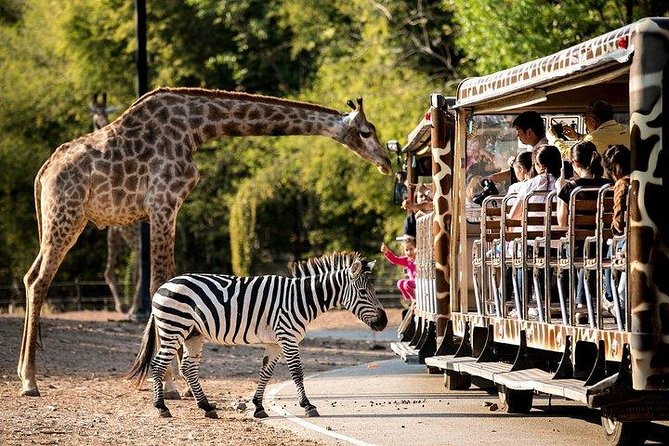 Night Safari From Chiangmai - SPECIAL DEAL - Inclusions