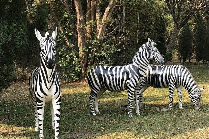 Night Safari From Chiangmai - SPECIAL DEAL - Booking Information