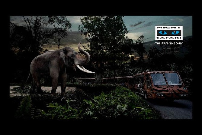 Night Safari Tour With Transfer - Attractions and Activities