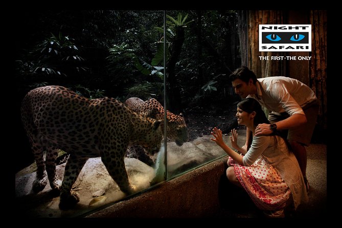 Night Safari Tour With Transfer - Traveler Feedback