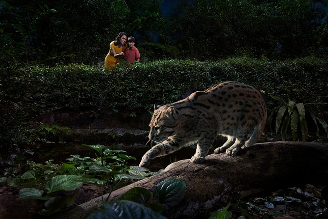 Night Safari With Buffet Dinner With Hotel Pick-Up - Performances and Shows