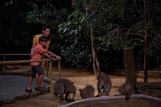 Night Safari With Buffet Dinner With Hotel Pick-Up - Tram Ride and Animal Encounters