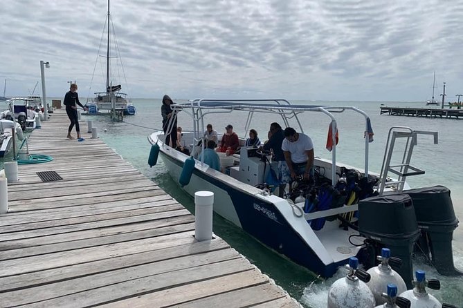 Night Scuba Dive Ambergris Caye - Key Points