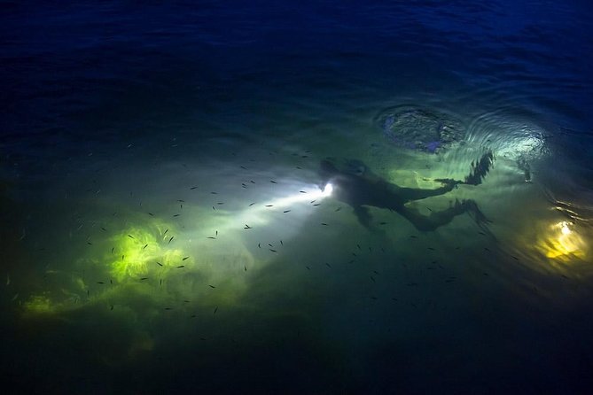 Night Shore Diving Mangel Halto Aruba for Certified Divers - Amenities at Dive Shop