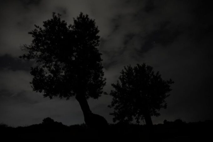 Night Sky Observation and Photography (Private Experience) - Getting to the Location