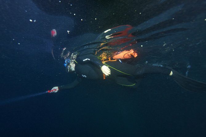 Night Snorkeling - Frequently Asked Questions