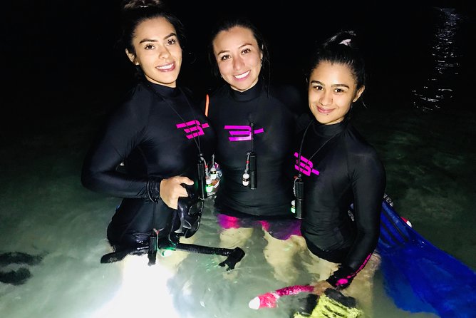 Night Snorkeling - Observation of Octopus and Other Species - Meeting Point and Transportation