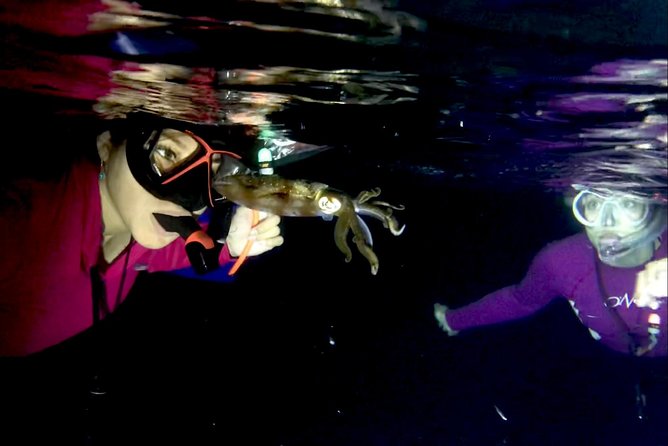 Night Snorkeling - Observation of Octopus and Other Species - Negative Customer Feedback