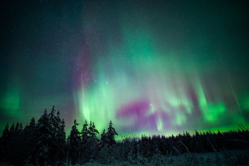 Night Snowshoeing Adventure Under the Northern Lights - Activity Details