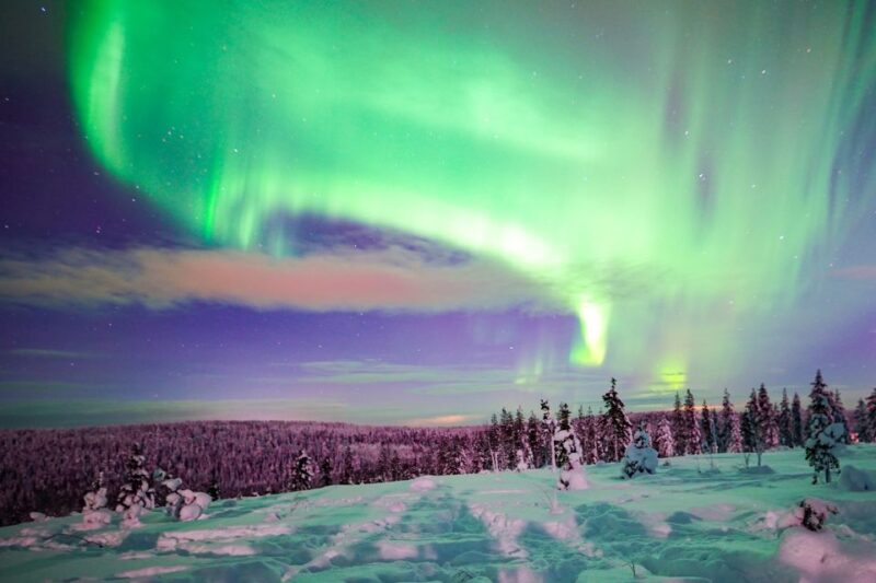 Night Snowshoeing Adventure Under the Northern Lights - Snowshoeing Experience
