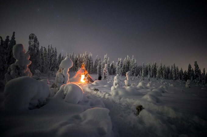 Night Snowshoeing Adventure Under the Northern Lights - Booking and Pickup