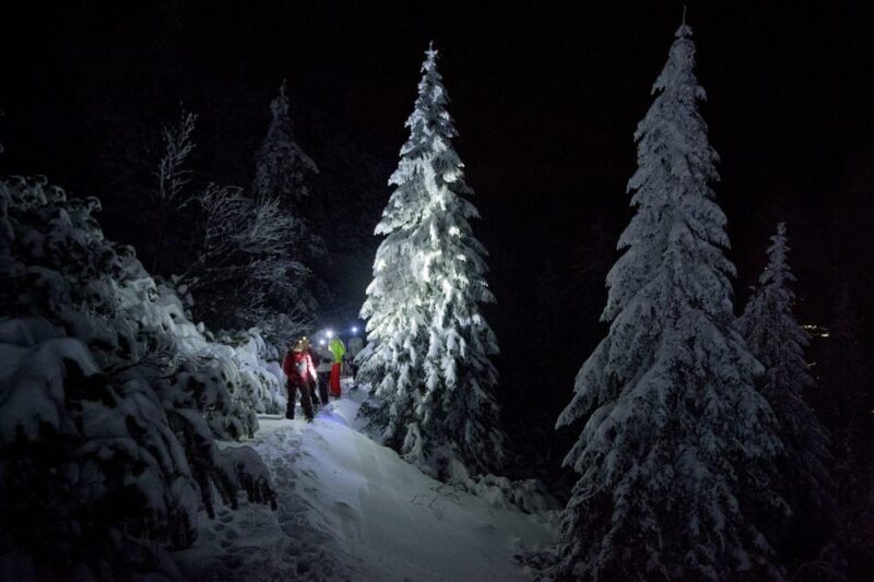 Night Snowshoeing Lapland Experience - Experience Highlights