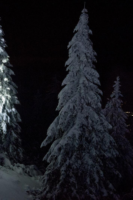 Night Snowshoeing Lapland Experience - Guided Tour Details