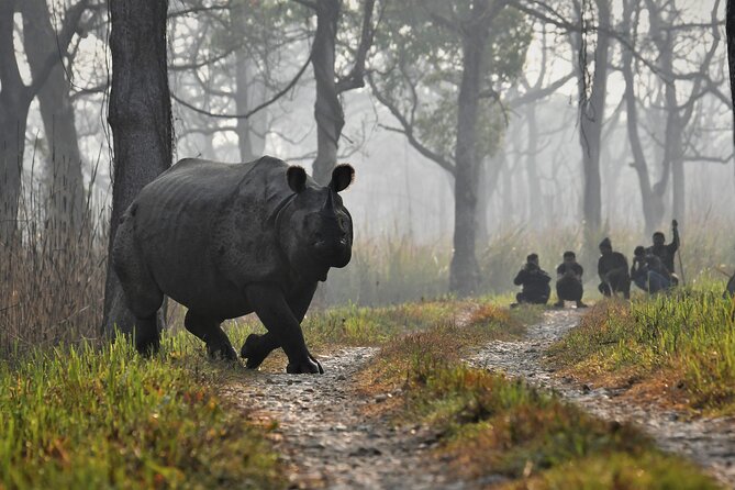 Night Stay in Chitwan National Park, 2 Nights 3 Days Package - Good To Know