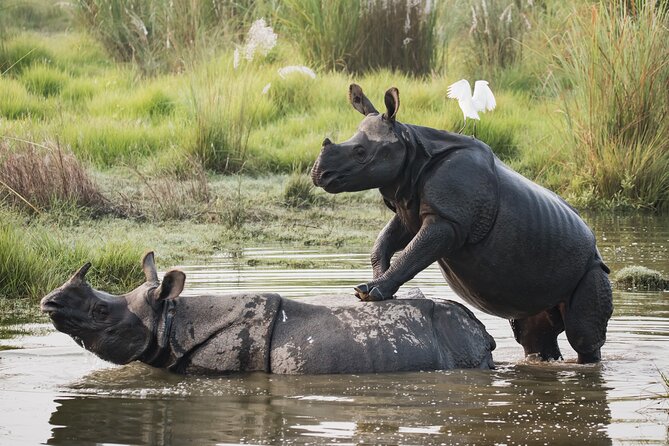 Night Stay in Chitwan National Park, 2 Nights 3 Days Package - Package Overview