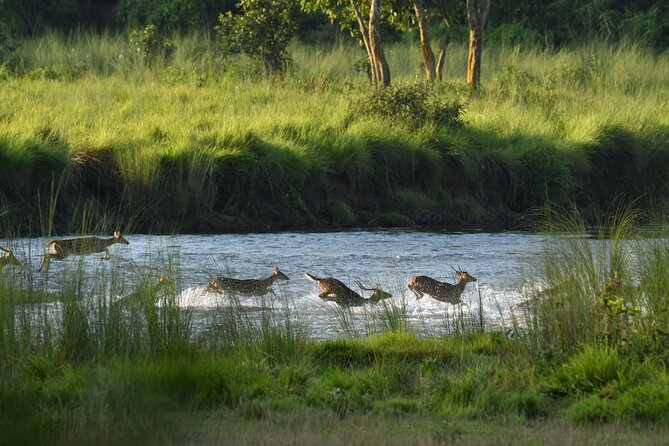 Night Stay in Chitwan National Park, 2 Nights 3 Days Package - Transportation Details